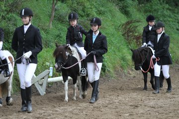 Bild 585 - WBO-Turnier am 18.9.11